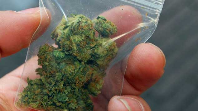CANNABISABOGADO's tweet photo. #CannabisPenal: Alegando tenencia por consumo propio frente a una multa: https://t.co/dUBp7azU0j https://t.co/IZcH6sncHs