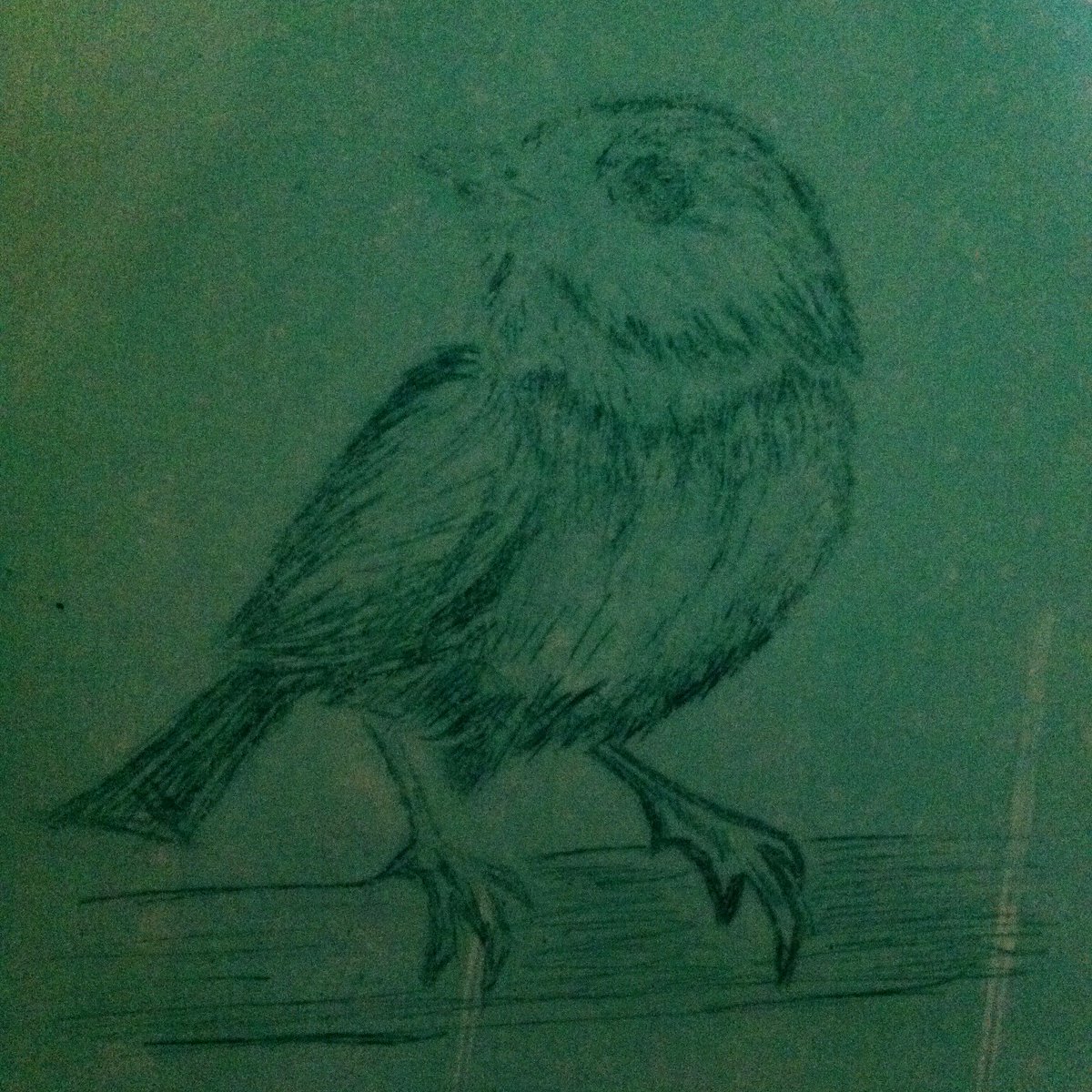 fitzclair's tweet image. Drypoint today @HotBedPress. Green is good for you.
#printmaking