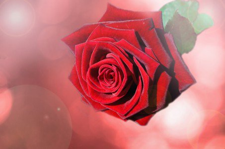 February half term activities in London with the kids #LondonMums #London #attractions… londonmumsmagazine.com/london-mums-ne…