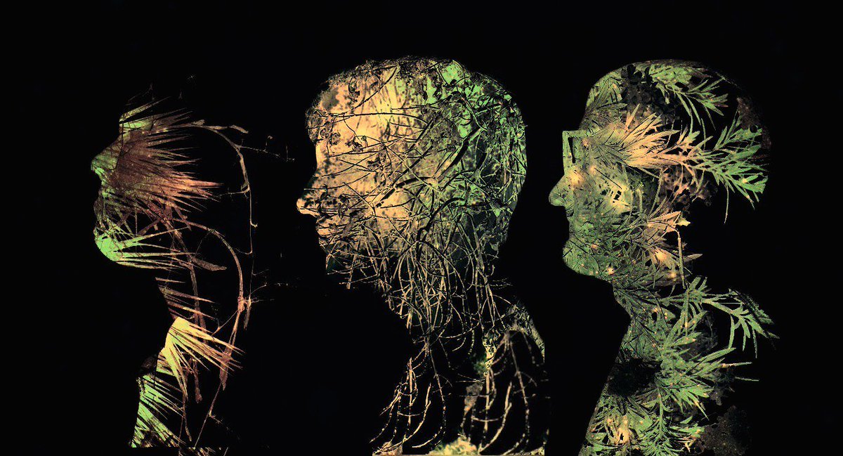 Atwood Magazine tweet media