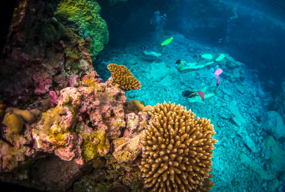 lonelyplanet's tweet photo. The Rock of Polynesia: 10 reasons you need to get to #Niue: https://t.co/yUhadFD7eR by @travelwriterNZ  #LP  #Travel https://t.co/iFWxhy1kS4