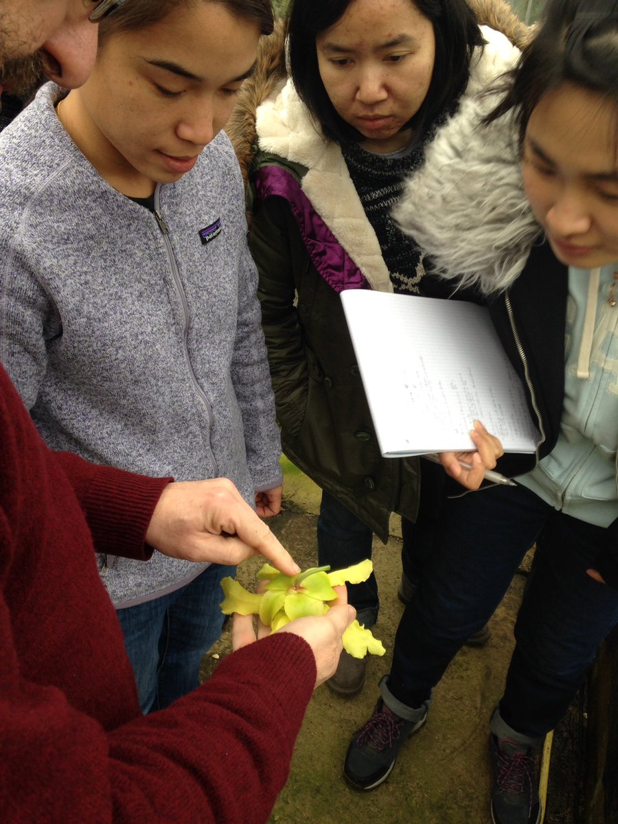j11p43f's tweet photo. The #flowers of #Sarracenia today with @BotanyRNG very unique! #MScPlDiv #LearnBotany #PlantsAreCool @kewgardens @BSBIbotany @The_RHS https://t.co/noS8GOXn0m