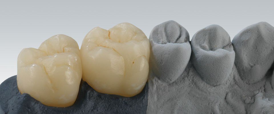 StewartLab tweet picture