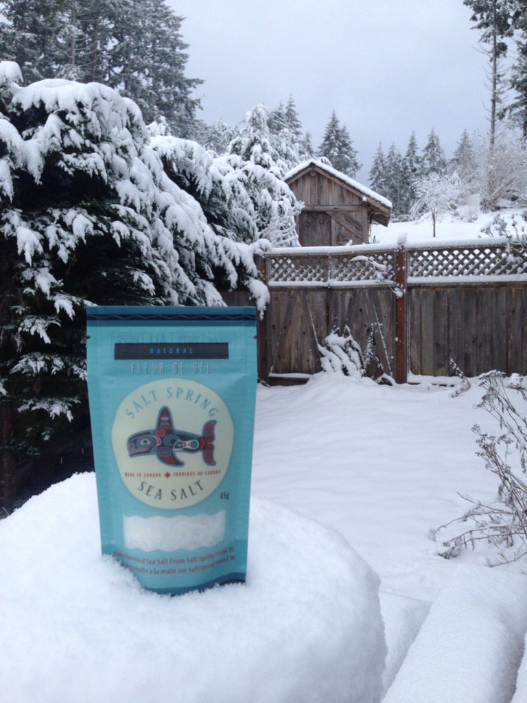 It's a #snowday #saltspring #salt #BCWeather #snow #wintergarden