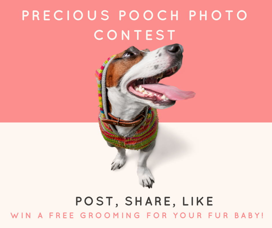 Fetch510's tweet image. Precious Pooch Photo Contest
Enter to win a free dog grooming!
Post, Share, Like to enter.
contest.fbapp.io/precious-pooch…