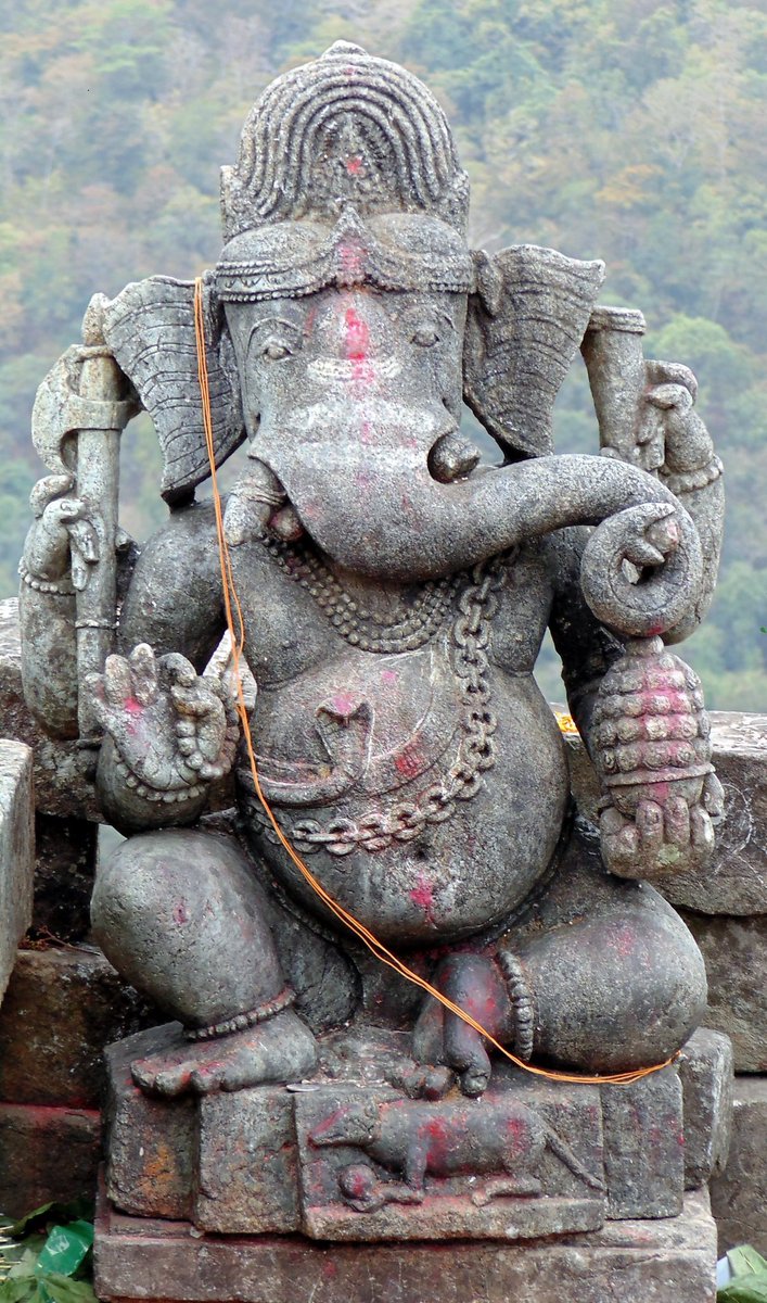 DholkalProject's tweet photo. Those who wanted a closeup image of 1000+ yrs old Dholkal Ganesh Statue in Chhattisgarh Dantewada #DholkalProject https://t.co/QsNgS8YRLc