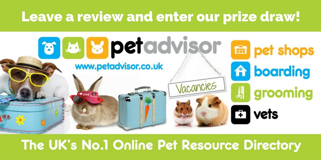 PetadvisorUK's tweet photo. 🎉 Write a Pet Service review at https://t.co/TtY67UK3b4 to enter! We're giving away a £20 voucher every month! @SouthWestHour
#southwesthour https://t.co/OzLATSqbVh