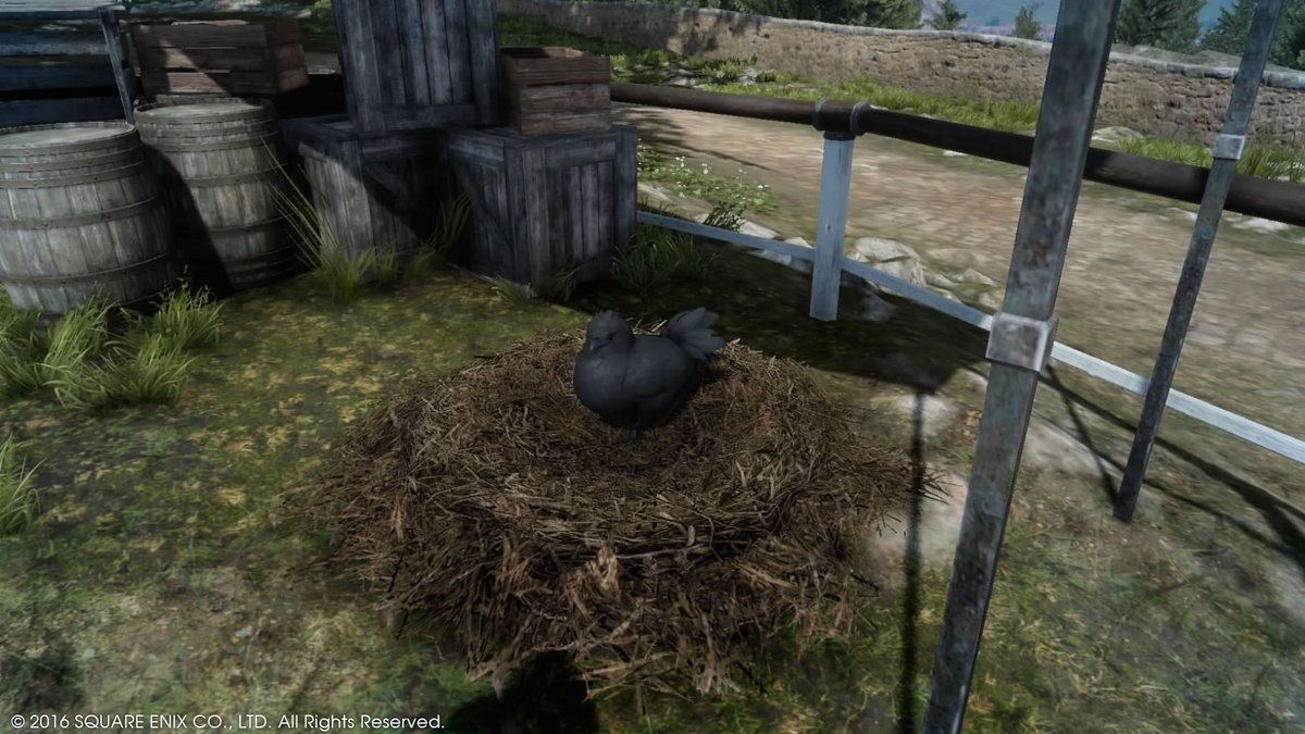 ffxvaddicted's tweet photo. This chocobo won't get bigger is it? #Blackie #FF15 #NoctsPics #PS4share https://t.co/ygVRkpePvl