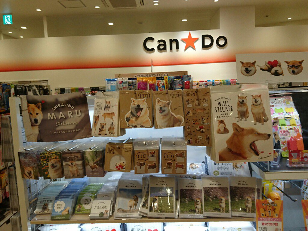くー Na Twitteru まるちゃんあった Marutaro Cando ららぽーと海老名 くー Na Twitteru まるちゃんあった Marutaro Cando ららぽーと海老名