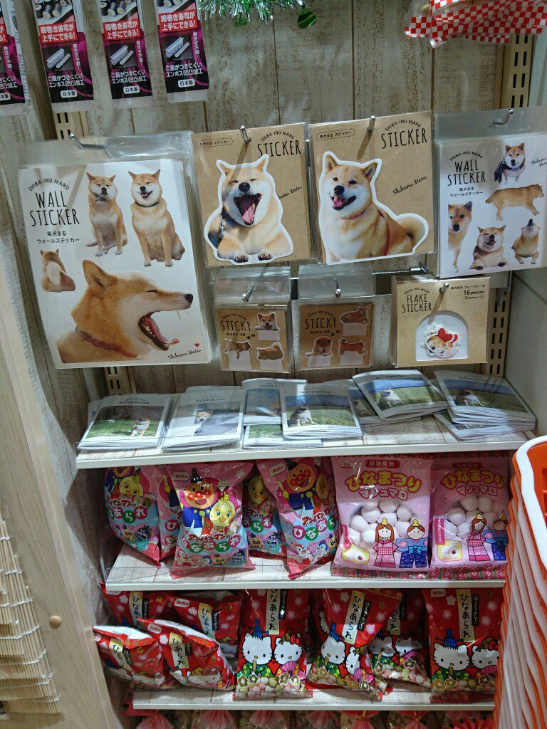 くー Na Twitteru まるちゃんあった Marutaro Cando ららぽーと海老名 くー Na Twitteru まるちゃんあった Marutaro Cando ららぽーと海老名