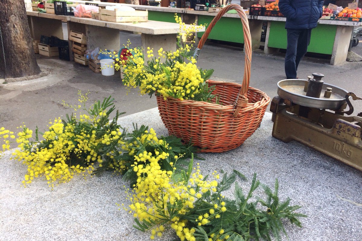 Istria's tweet photo. There we go ... #spring around corner #Pula #Istria https://t.co/5sNREMSJRM https://t.co/PdXdFrdw35
