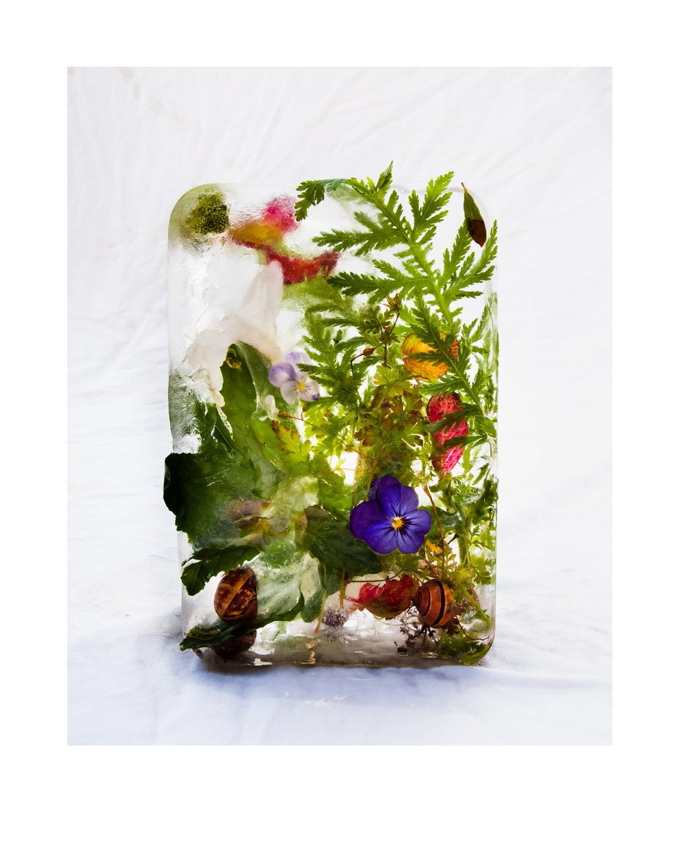 Introducing new Artist in Residence Marisa Culatto, represented by <a href="/molinacontempo/">MOLINA CONTEMPORARY</a>. Join us for a private view on 2nd Feb #clubart