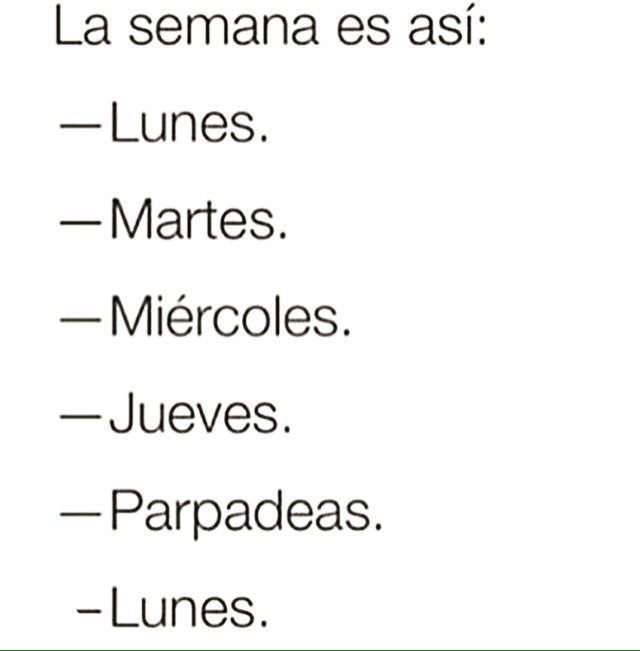 stylosib's tweet photo. Con los buenos días gente bonita!! 🌧💪🏻🙏🏻 https://t.co/G6AqE2Io2e