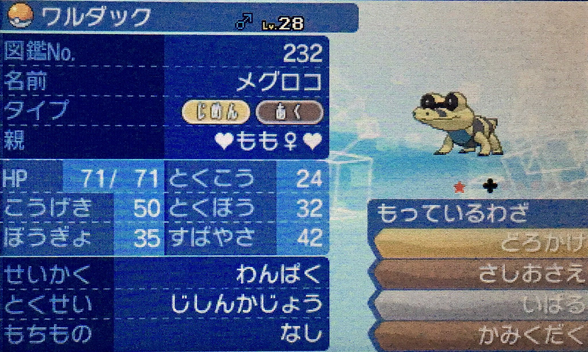 姫野桃 桃色のポケgoマイボウラー 先程 ハイナ砂漠 ウラウラ島 を散策中に色違いのメグロコに遭遇し 無事にgetする事が出来ましたわ W ポケモン サンムーン ハイナ砂漠 色違い メグロコ T Co Fbq7ejy92v