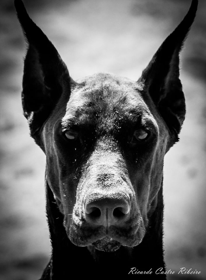 OiOiMillwall's tweet photo. @CassityCaire When you got that Monday face on !! https://t.co/nrZ7XQ0opR