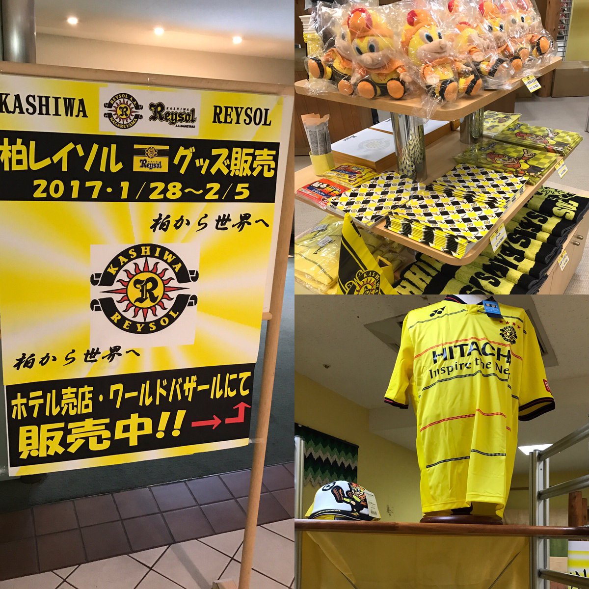 レイくん 柏レイソル ボクのぬいぐるみも買ってね 鹿児島 指宿 指宿キャンプ いわさきホテル レイソルグッズ販売中 レイソリスタ指宿支店 練習見学の際はどうぞお立ち寄りください Reysol 柏レイソル レイくんjマスコット総選挙 T