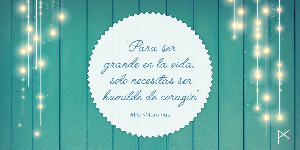 holymarkt's tweet photo. #HolyMorning https://t.co/mDwsp50cws