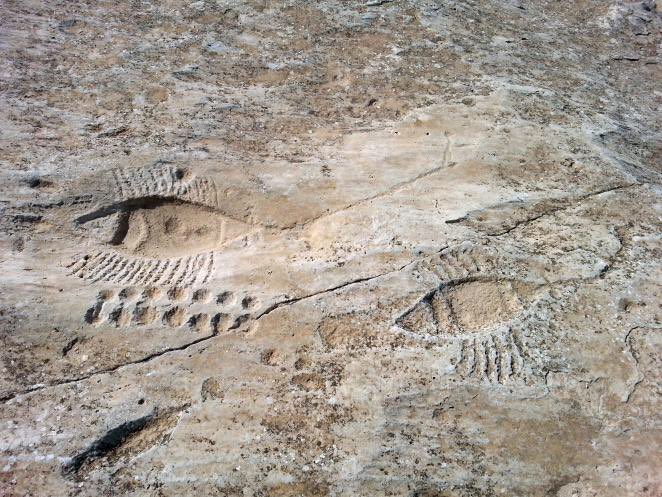Qatar museums on twitter quot al jassasiya rock carving sites Qatar museums on twitter quot al jassasiya rock carving sites