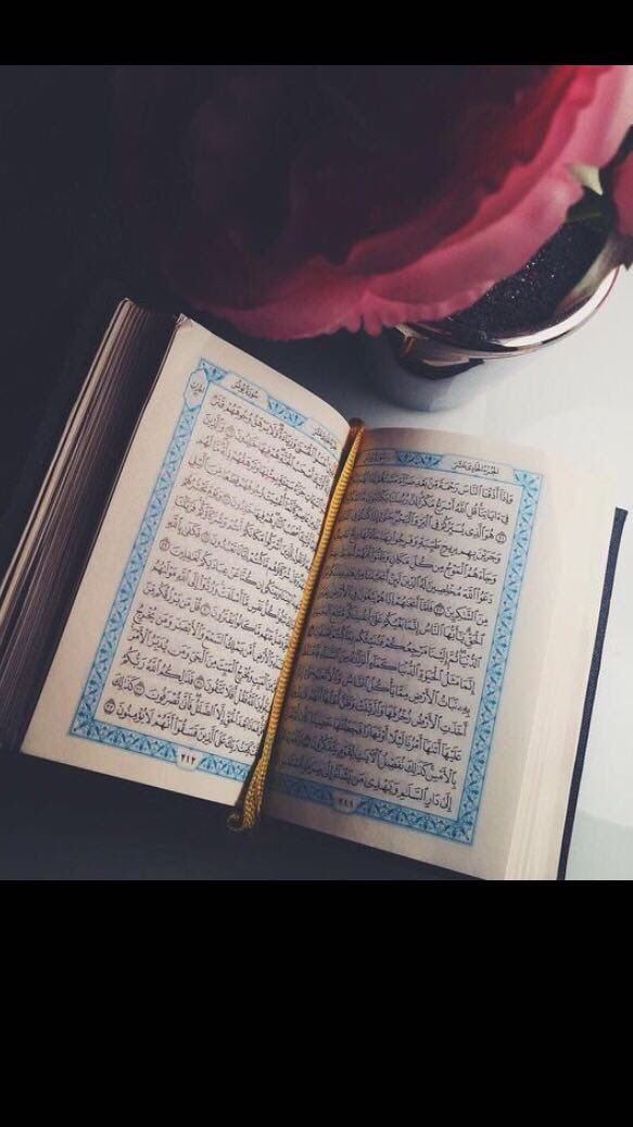 منذ أن رحلوا ما زالو في مخيلاتنا...
اللهم أرحمهم وأغفرلهم وتولهم برحمتك وغفرانك