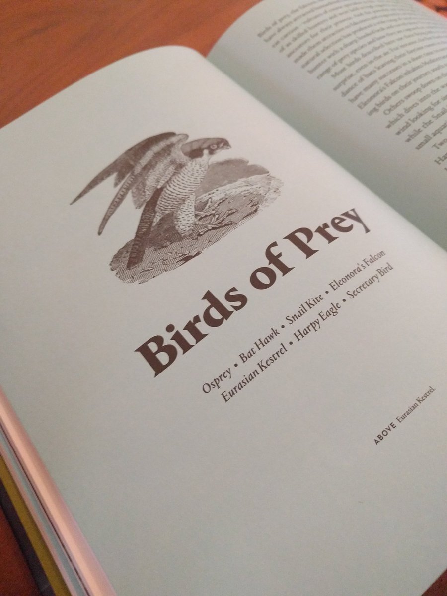 ShedEleven's tweet photo. Weekend purchase @baileyshome. Achingly good design work! @thamesandhudson https://t.co/CY4k9sXtkH