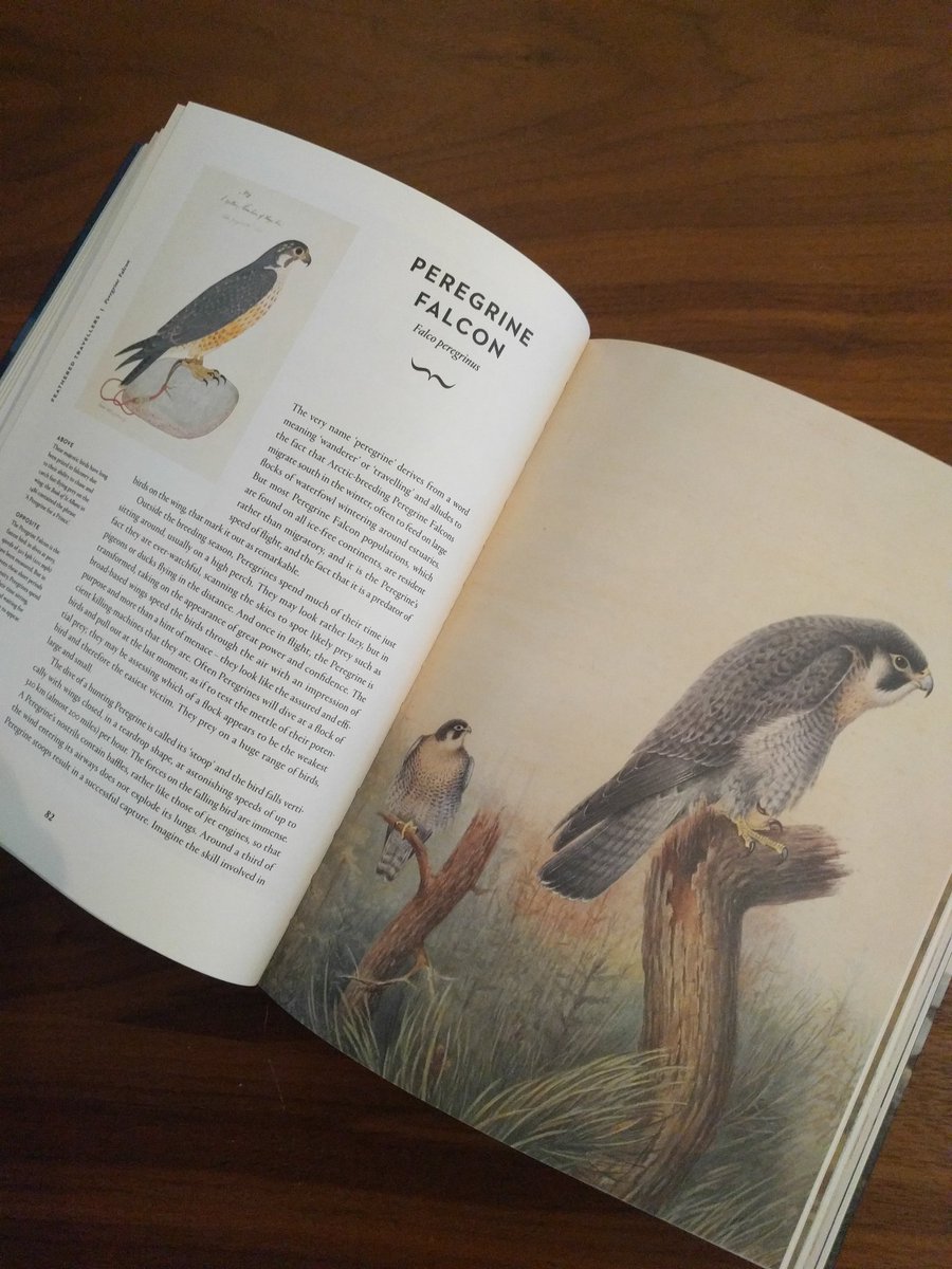 ShedEleven's tweet photo. Weekend purchase @baileyshome. Achingly good design work! @thamesandhudson https://t.co/CY4k9sXtkH