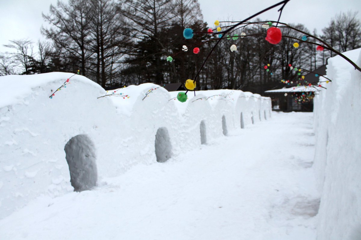 岩手県広聴広報課 En Twitter 2 4 土 12 日 第50回いわて雪まつり 雫石町 今年も雪 不足に苦しみながらも 1 28 土 から写真のかまくら食堂などを先行開催中 50回目の節目となる今年 ぜひ小岩井農場へお越しください 0 いわて 雪まつり公式 T Co