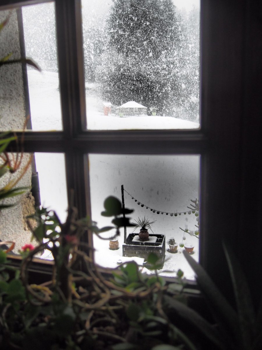 DuPestrin's tweet photo. #Ardeche #OTASV #PNR_MA #ardechesecrete #meyras #bedandbreakfast #yourte #neige #holiday https://t.co/5q5pxcZWr4