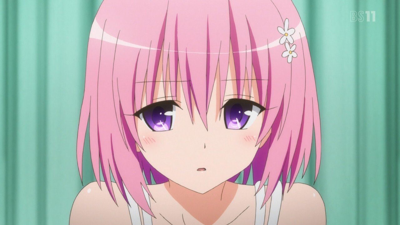 夜刀神 Toloveるモモ推し Ar Twitter モモ最高だと思ったらrt モモ可愛いと思ったらrt Toloveるな中でモモが一番好きっていう人rt 夜刀神 Toloveるモモ推し Ar Twitter モモ最高だと思ったらrt モモ可愛いと思ったらrt Toloveるな中でモモが一番好きっていう人rt