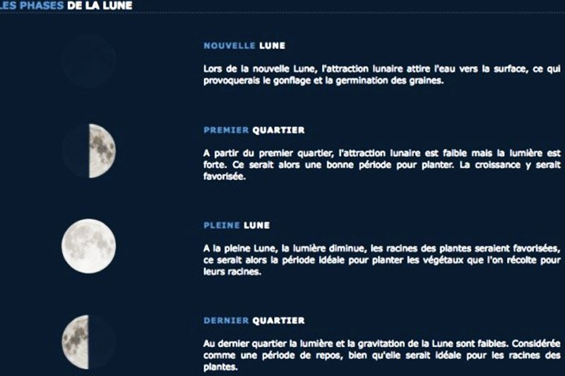 CBegude's tweet photo. L’influence de la lune sur le goût du vin  https://t.co/bX5waxTifo via @lepariesien https://t.co/71No4tkORW