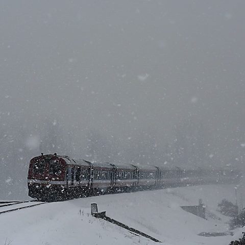 MadcapOdyssey's tweet photo. No This is not Europe or Russia..
This is Srinagar, Kashmir
🚇: Abdul Qayoom #Himalaya #kashmir #2inter #travel #blog #travelblog https://t.co/r8bH29sWEo
