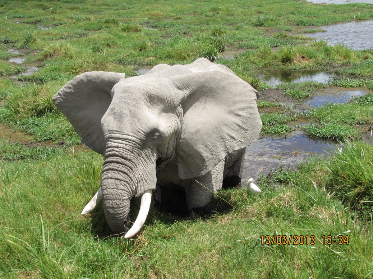 We welcome you to our offers for this valentine holiday info@preferencesafaris.net book now, #preferencesafaris #TembeaKenya