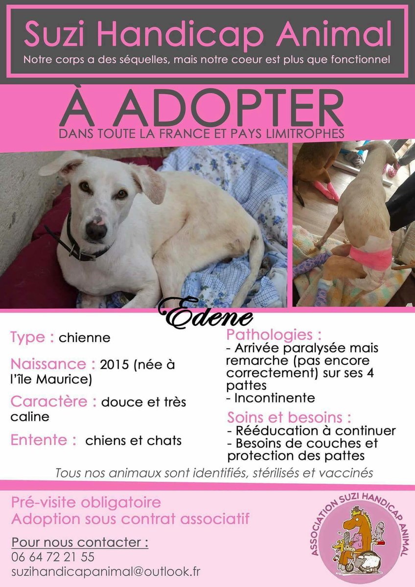À l'adoption - EDENE 💜 #RT appréciés