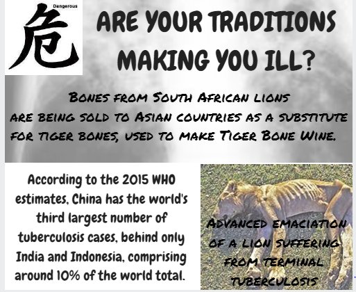 FriendsSALions's tweet photo. Lion bones from #southafrica could be infected with #tuberculosis #lions #lionbonetrade @News24 @newscientist @Reuters @SkyNews @cnni https://t.co/zMI4Cejc0W