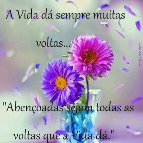 Marina 🤍 tweet media