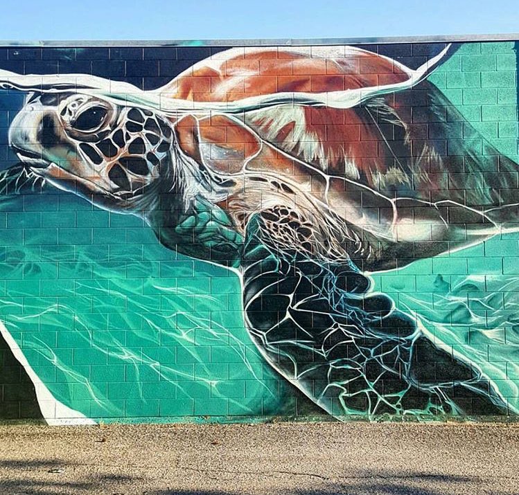 GoogleStreetArt's tweet photo. Street Art by Sril Art 

#graffiti #art #arte https://t.co/MuausE1l5M