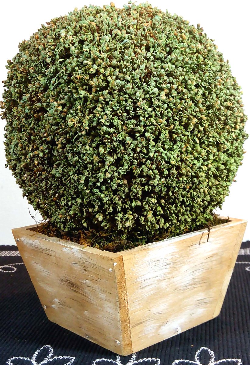 greefur's tweet photo. Artificial #Boxwood #TreeBall #Plants In Pot #Handmadeplants Home Decor

@ArtificialPlant #homedecor @InteriorHomeTod #Flowers https://t.co/dcgc6vC9r1
