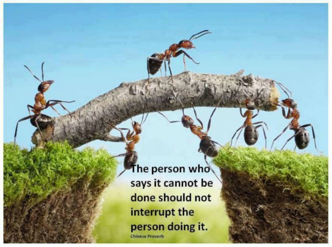 NoFloodsBarrier's tweet photo. "The person who says it cannot be done should not interrupt the person doing it" - Chinese Proverb.

Have a great productive week ahead! 🙂 💪 https://t.co/bFOhXlKVIG