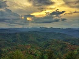 Travel in #rwanda, on a #mountaingorillatrekking expericence at #volcanoesnationalpark and enjoy scenic views of Rwanda's Thousands hills