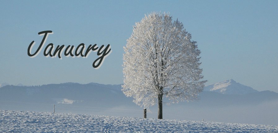 Birdie_Bookworm's tweet photo. Birdie's January 2017 #BookBlogging #BookBlogger #Books #Reading #January2017 #ReadingYear https://t.co/D4CkTauRO6 https://t.co/x1RsJKcr8n