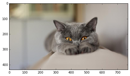 yprez's tweet photo. Fully Convolutional Networks (FCNs) for Image Segmentation https://t.co/fUBpOhWe1K #python #machnielearning #tensorflow https://t.co/8hpfl0Xr3S