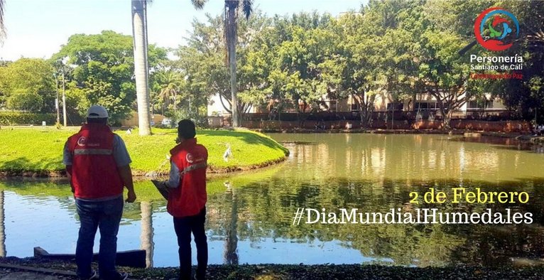 personeriacali's tweet image. #DiaMundialHumedales ¿Sabías que Cali tiene más de 50 humedales, tanto urbanos como rurales? Trabajamos en su protección @YoReportoCo