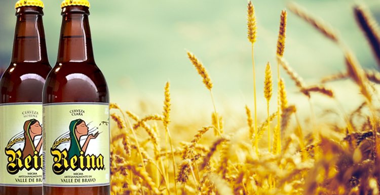 ¿Por que elegir Cerveza Artesanal? Visita nuestro Blog y descúbrelo cervezareina.mx/blog/ 🍺🌾💧