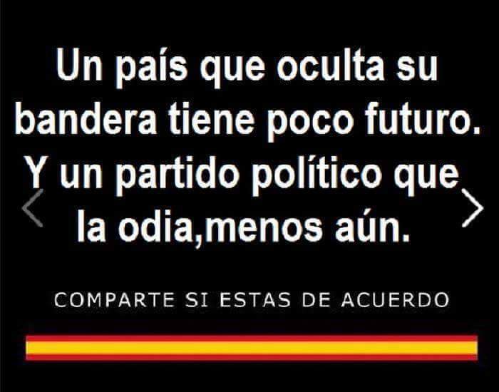 PALOMA tweet media