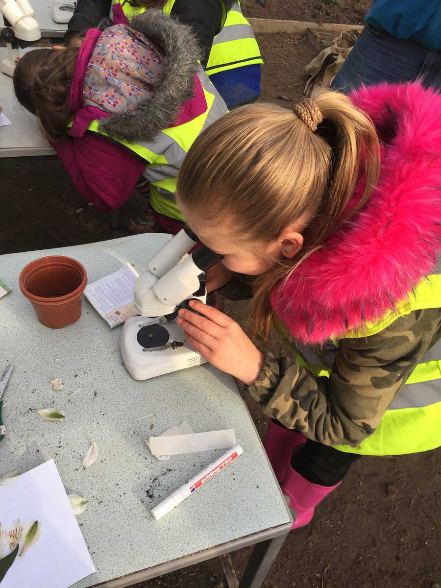 year3_bwps's tweet photo. Thank you for having us last week @wild_place - we especially loved our plant workshops. https://t.co/HNpcHxzApd