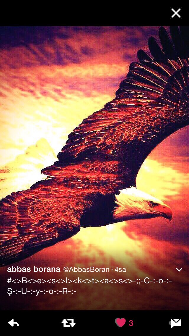 AbbasBoran's tweet photo. #LiderBeşiktaş #LiderBeşiktaş gooooooooooooooooooL https://t.co/BEgfiU7dDM