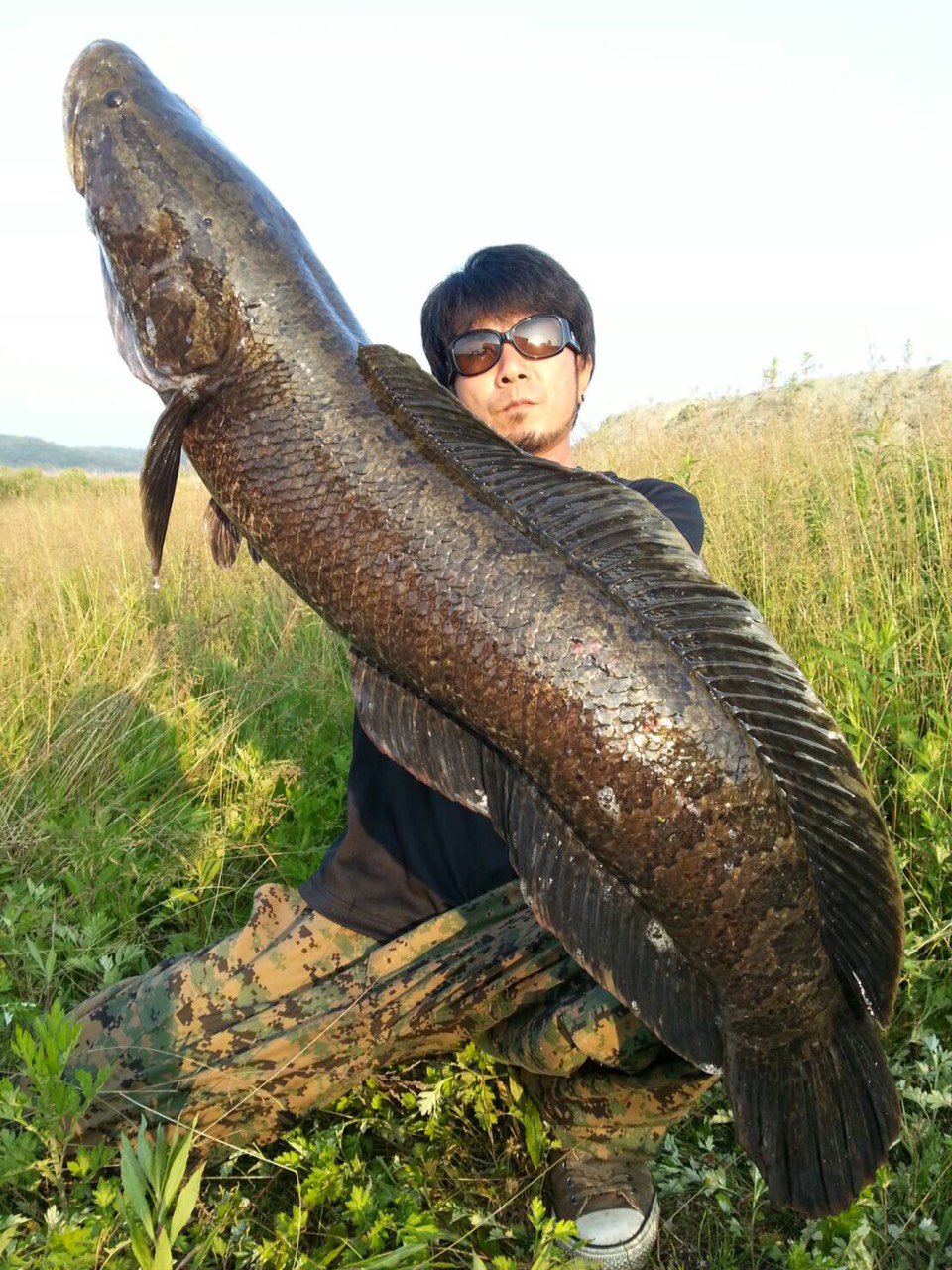 加藤 武 幼少より 雷魚釣りを中心とし 様々な魚種も含め釣り三昧な自分ですが 本日よりtwitter 初めてみました 拡散希望 雷魚 釣り 知っているrt スネークヘッド Abu フロッグ モンスター シーバス ブラックバス 雷魚釣りが好きな人rt