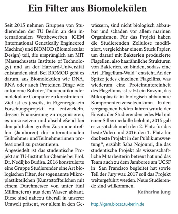 iGEM_Berlin's tweet photo. Our project in the news #TUintern #innovation #environment #synbio https://t.co/AN5xy5STFS