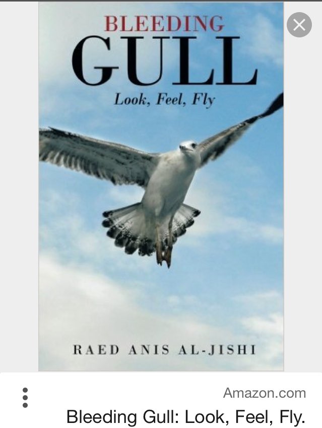 AljishiRaed's tweet photo. my book #bleeding_gull on the new york times thanks to @nytimes https://t.co/cBsCtGFV4c