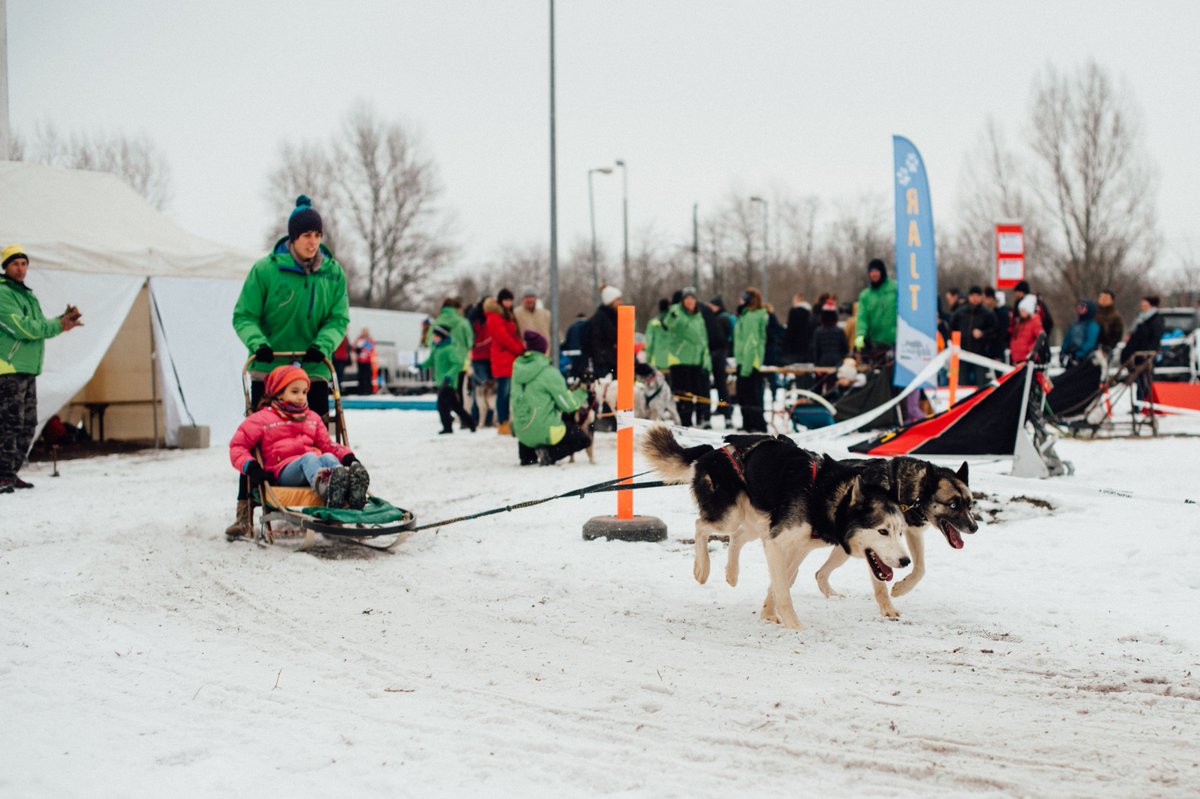 GoBudapest2024's tweet photo. A shot from last weekend's event definitely in winter style, where visitors could try out a wide range of sports on ice and snow. https://t.co/LEZKAUHXAP