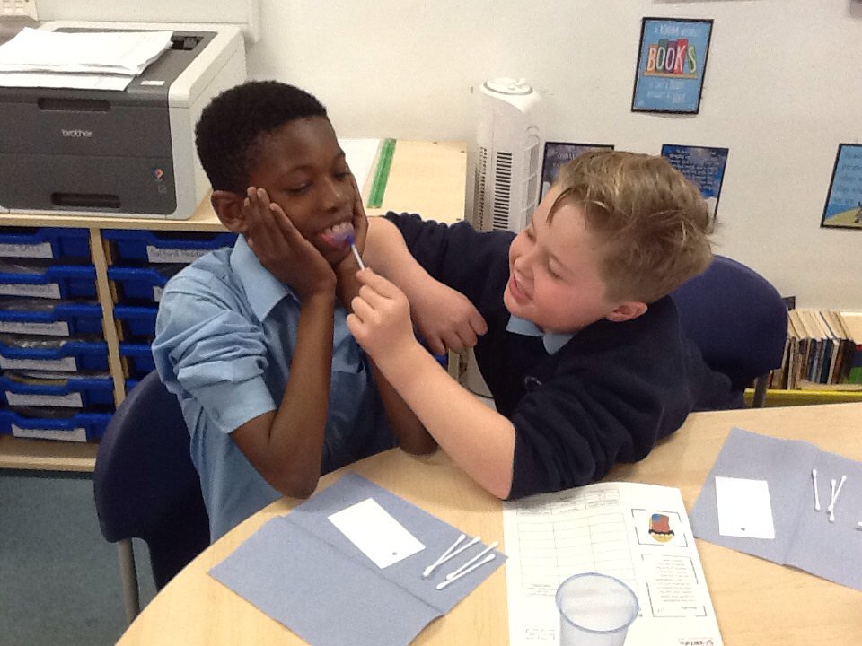 stmarysrcmidd's tweet image. 5R investigating what type of tasters they are #terrificscientific #bbcscience